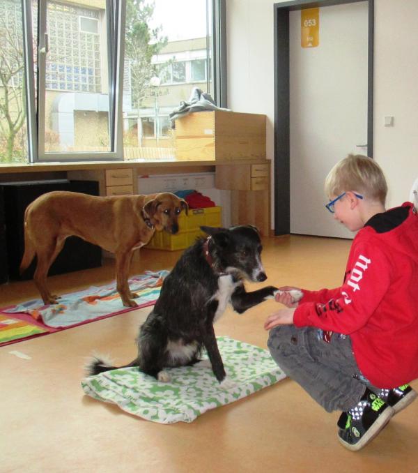 Hundetherapie Foto